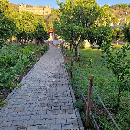Ponte Romana Сілвеш Екстер'єр фото